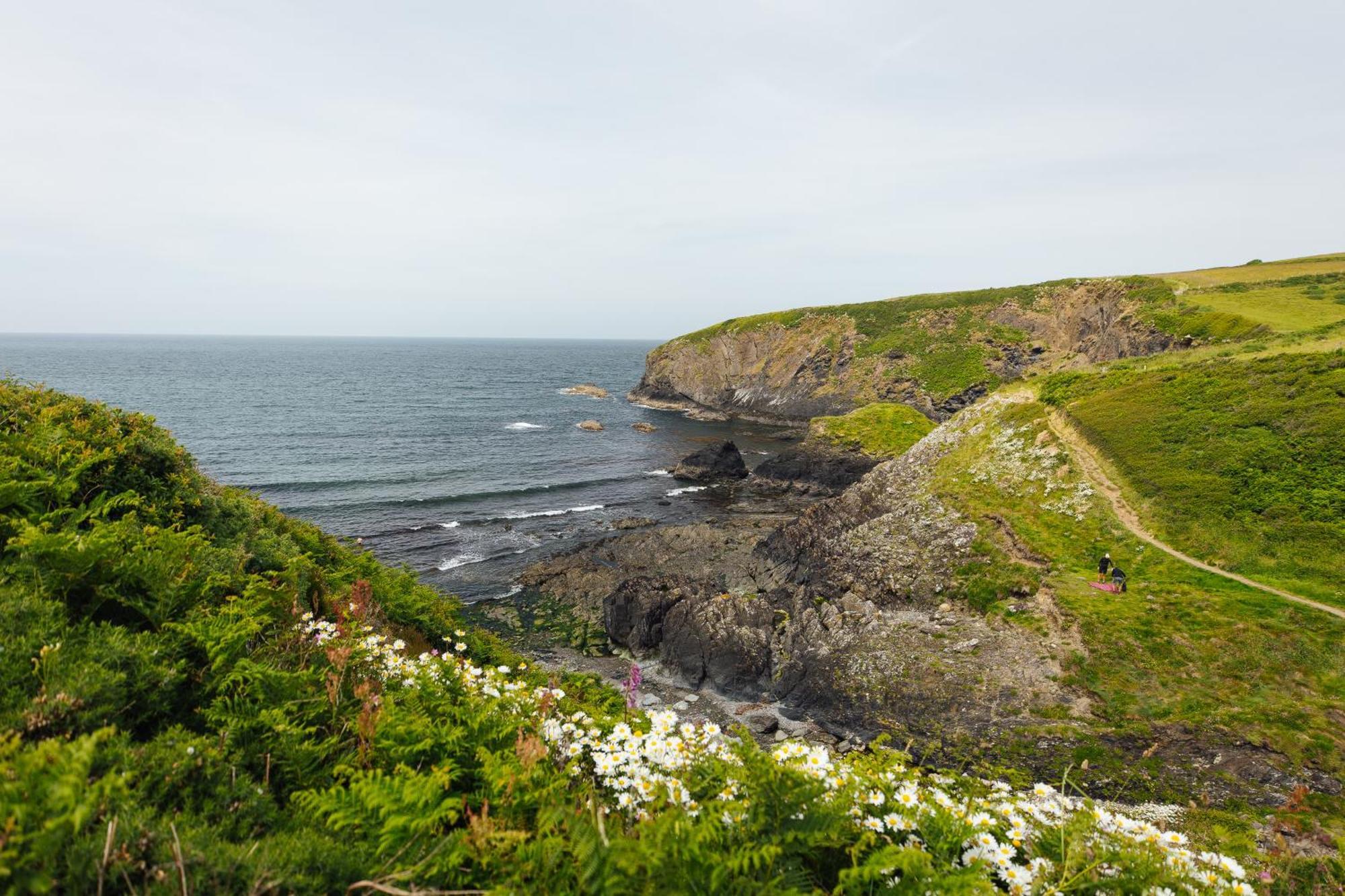 Cliff-Top Cottage On Coast Path W/Panoramic Views Trevine Extérieur photo